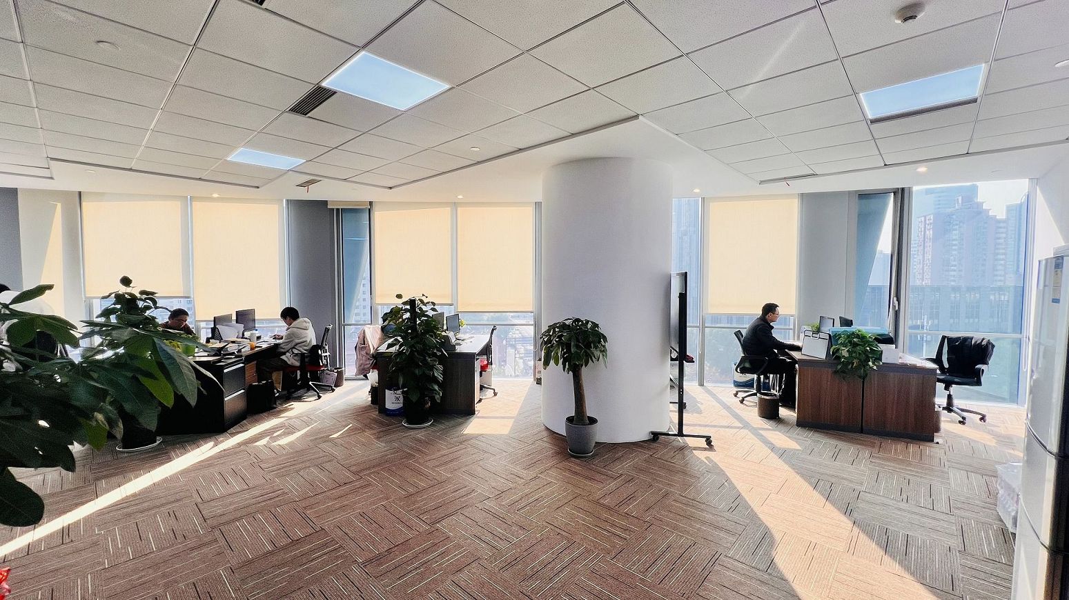 公司成立后有没有纳税申报义务